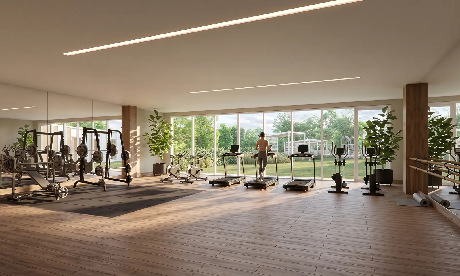 Gimnasio de Torre 5